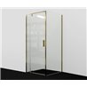 Душевой уголок прямоугольный WasserKRAFT Aisch 55P18 90x100x200 см, распашная дверь, матовое золото