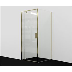 Душевой уголок прямоугольный WasserKRAFT Aisch 55P22 100x90x200 см, распашная дверь, матовое золото