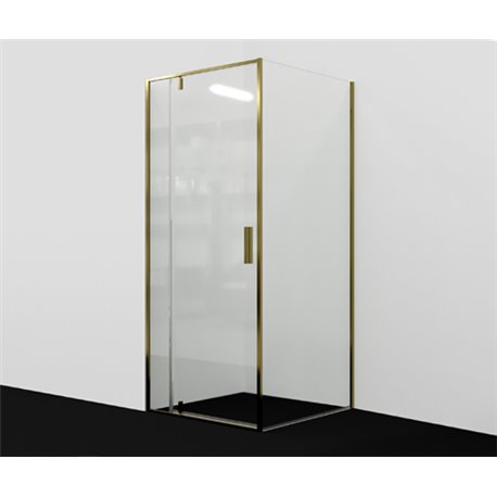 Душевой уголок прямоугольный WasserKRAFT Aisch 55P20 90x80x200 см, распашная дверь, матовое золото